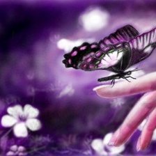 Схема вышивки «Бабочка»