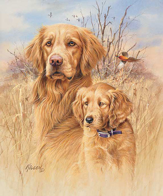 №304677 - оригинал