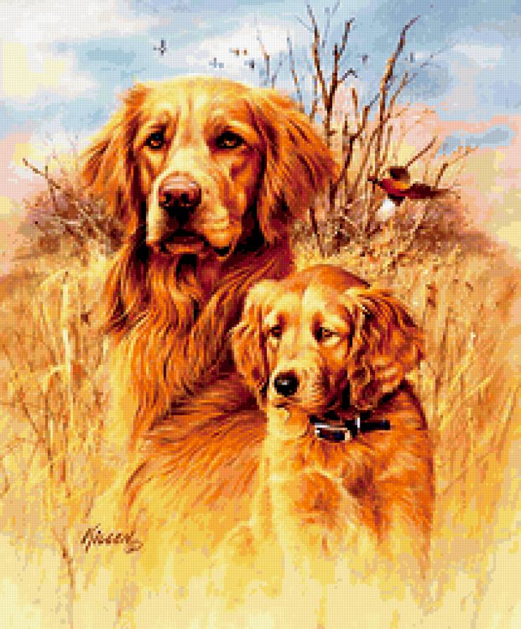 №304677 - предпросмотр