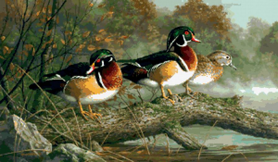 картина - картина - предпросмотр