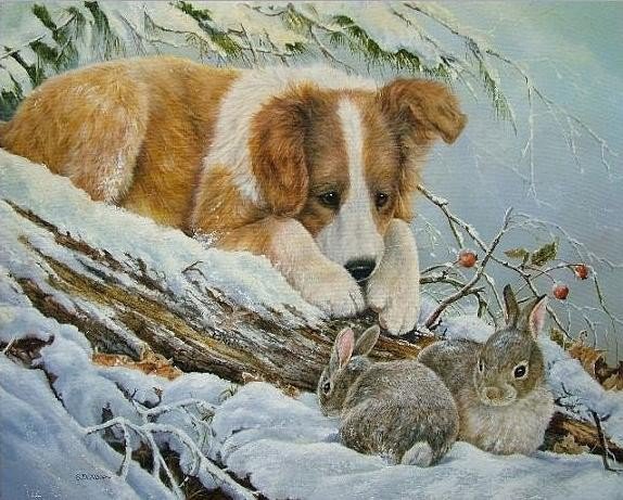 №304687 - оригинал