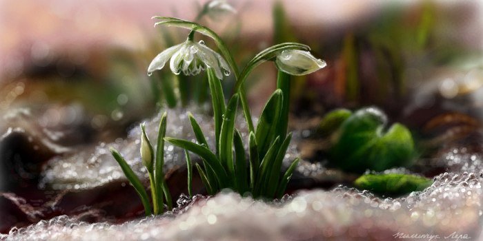 №304689 - оригинал