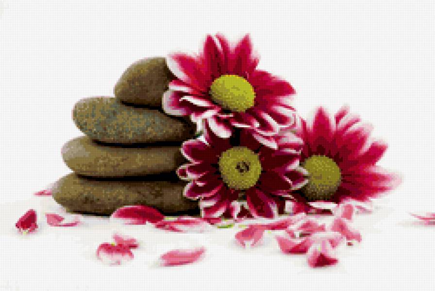 Цветы и Камни - предпросмотр