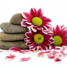 Схема вышивки «Цветы и Камни»