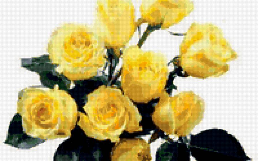 №304720 - предпросмотр