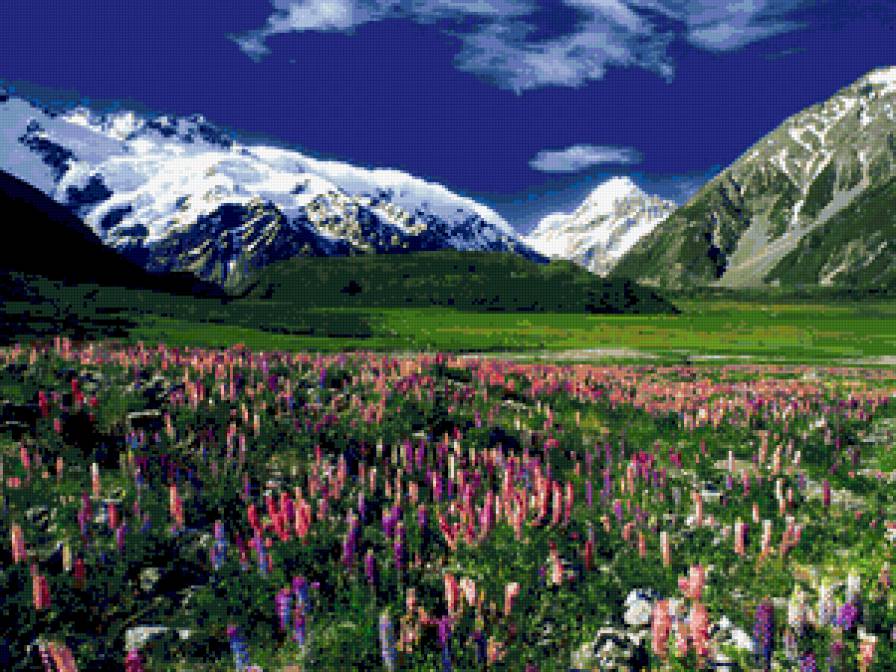 Горы Новой Зеландии - новая зеландия, природа, горы, поляна, пейзаж, цветы, луг - предпросмотр