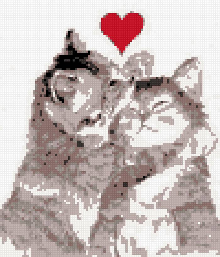 Котята - кошки, котята, любовь, сердечко - предпросмотр