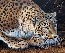 Схема вышивки «№304968»