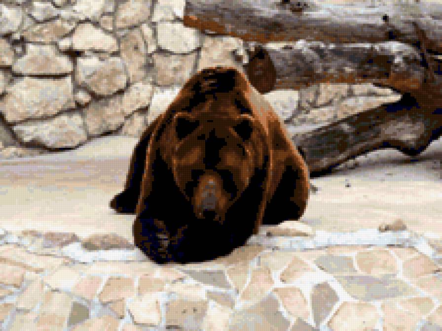 медведь 9 - предпросмотр