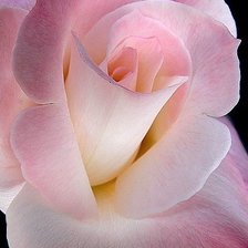 Схема вышивки «№305064»