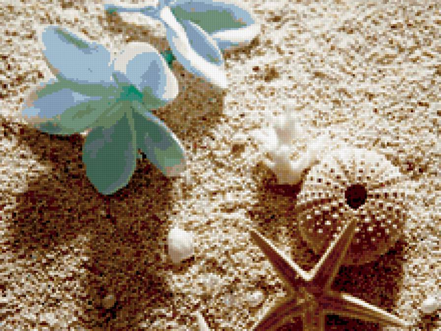 Прелесть - песок, ракушки, цветы - предпросмотр