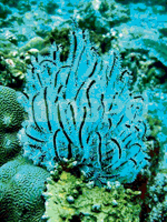 Подводный мир - море - предпросмотр