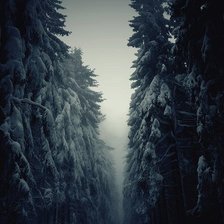 Оригинал схемы вышивки «Зимний лес» (№305114)