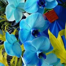 Оригинал схемы вышивки «Синие орхидеи» (№305120)