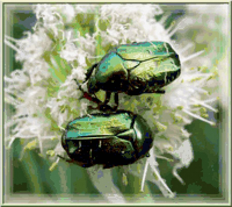 насикомые - предпросмотр