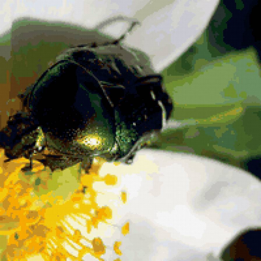 насикомые - предпросмотр