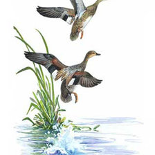 Схема вышивки «полет»