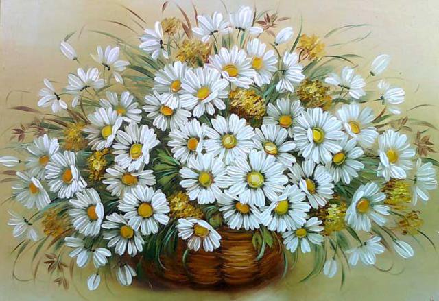 ромашки - цветы - оригинал