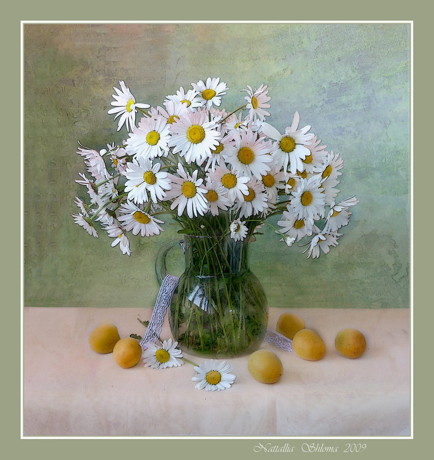 ромашки - оригинал