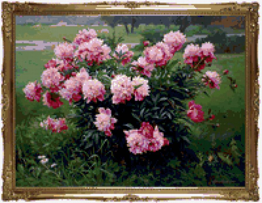 куст пиона - предпросмотр