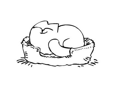 №305366 - оригинал