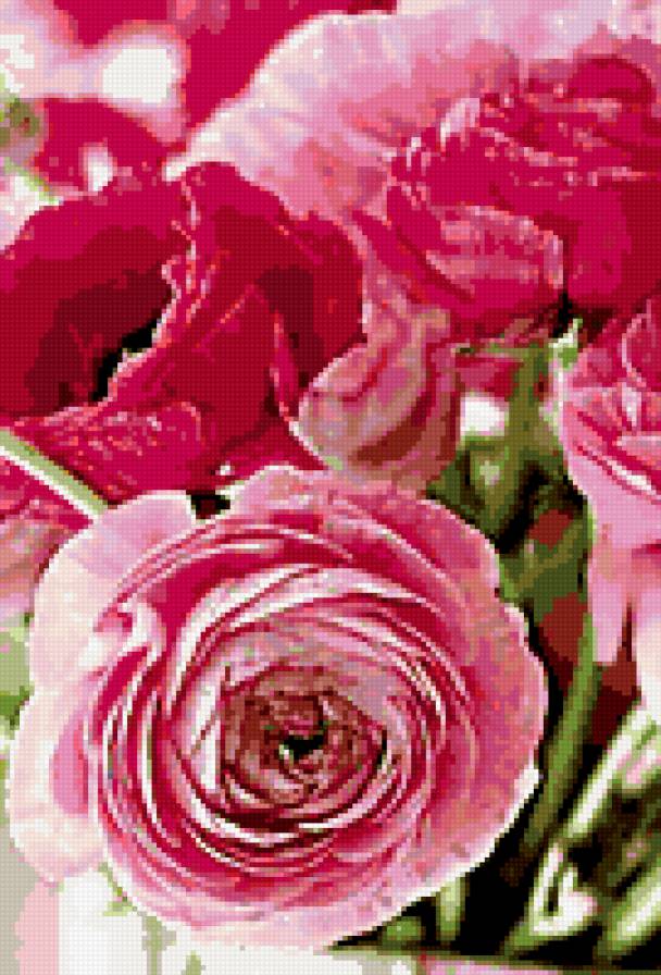 Бутоны пионов - пионы, бутон - предпросмотр