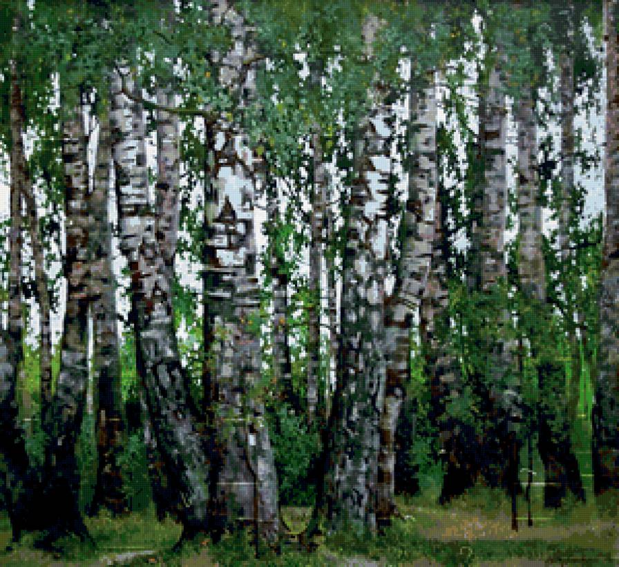 Березки - картины, деревья, лес - предпросмотр