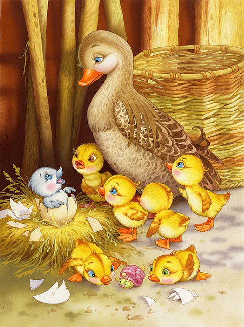 утята - птица - оригинал