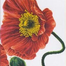 Схема вышивки «3»