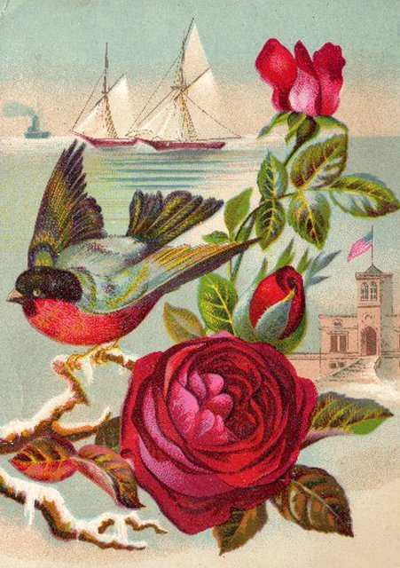 №305717 - оригинал