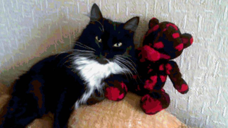 боня - кошка - предпросмотр