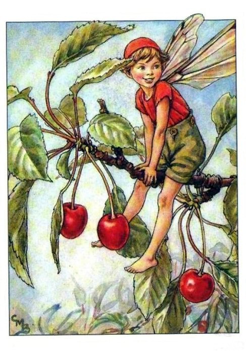 Эльф - мальчик, эльф, вишня - оригинал