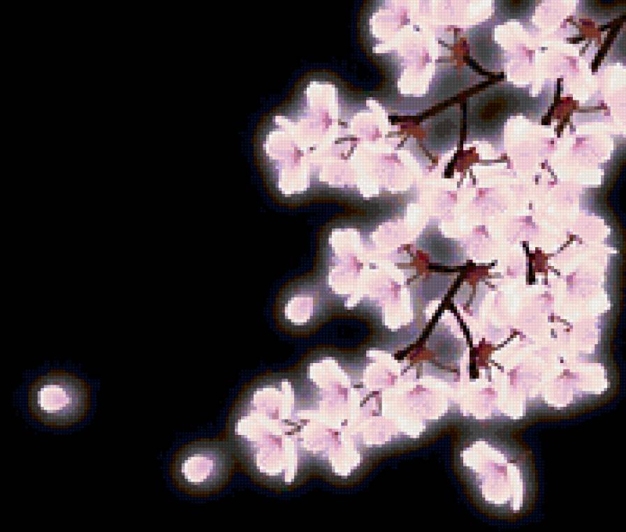Сакура - вишня, сакура, цветы - предпросмотр
