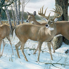 Схема вышивки «в лесу»