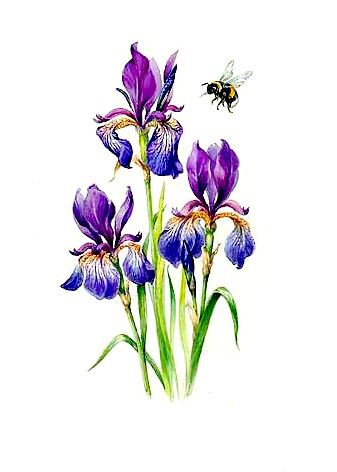 №306011 - оригинал