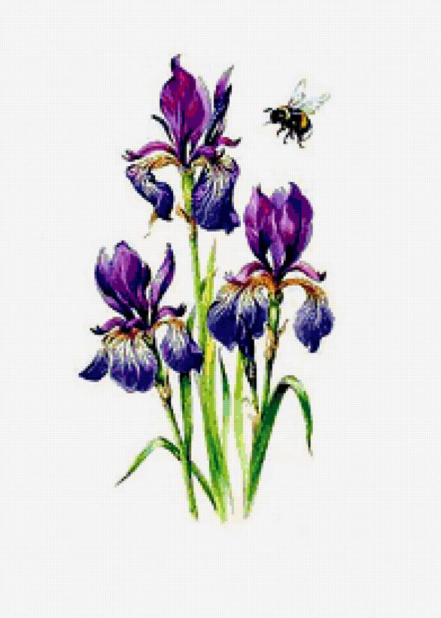 №306011 - предпросмотр