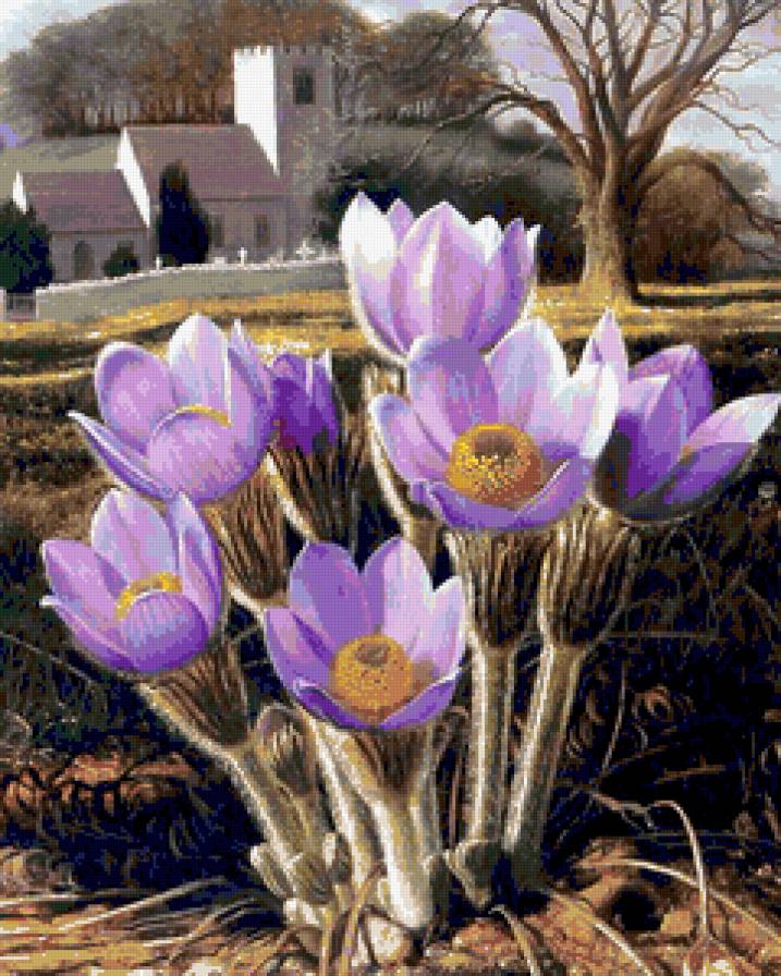 №306025 - предпросмотр