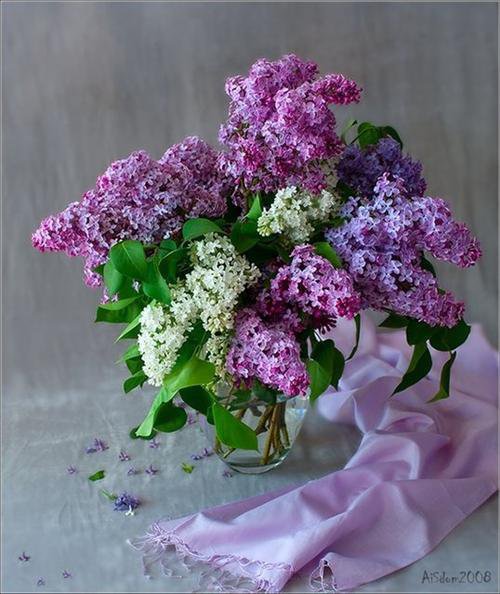 Сирень - картина, цветы, весна, букет - оригинал