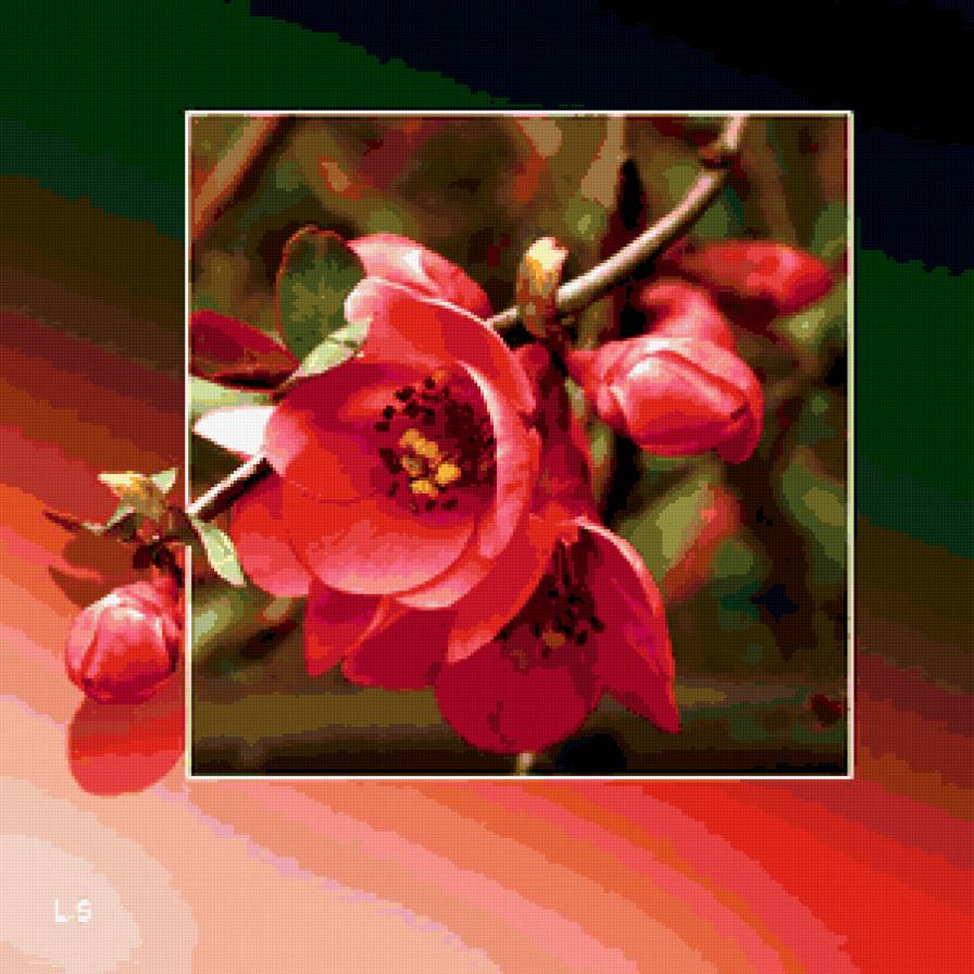 Весенний цвет - цветение, цветы, весна, картина - предпросмотр