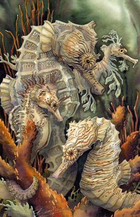 Морской конёк - море, рыбки - оригинал