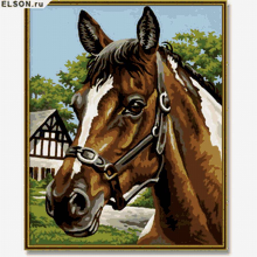 лошадка - животные - предпросмотр