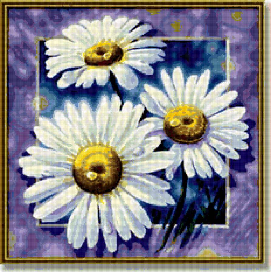 ромашки - цветы - предпросмотр