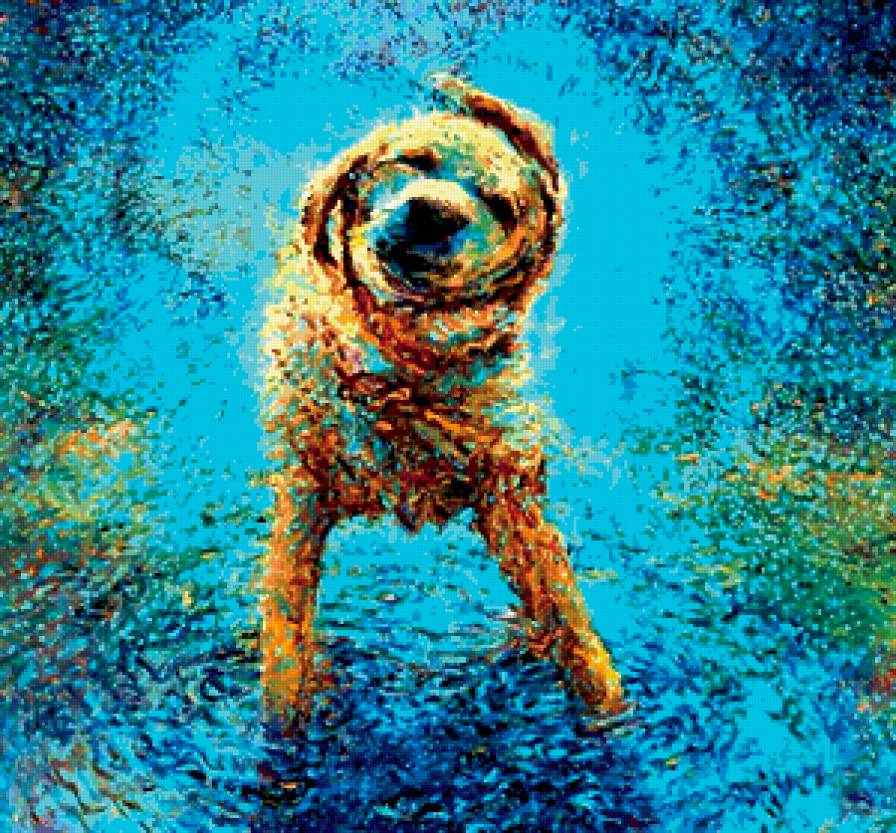 iris scott - импрессионизм, картина, собака, бирюзовый, iris scott, брызги - предпросмотр