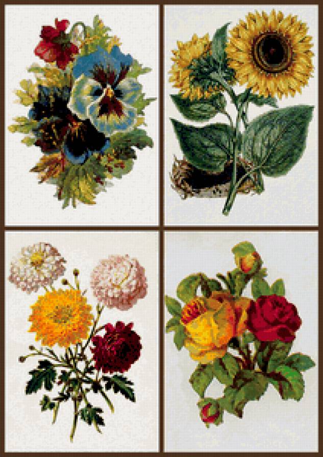 №306394 - предпросмотр