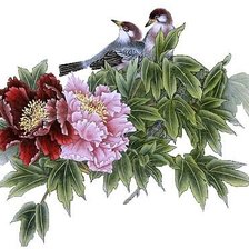 Оригинал схемы вышивки «пионы и птицы» (№306400)