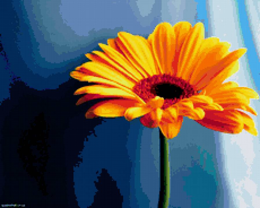 Цветок - цветы - предпросмотр