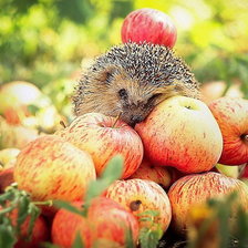 Схема вышивки «и всё это моё)»