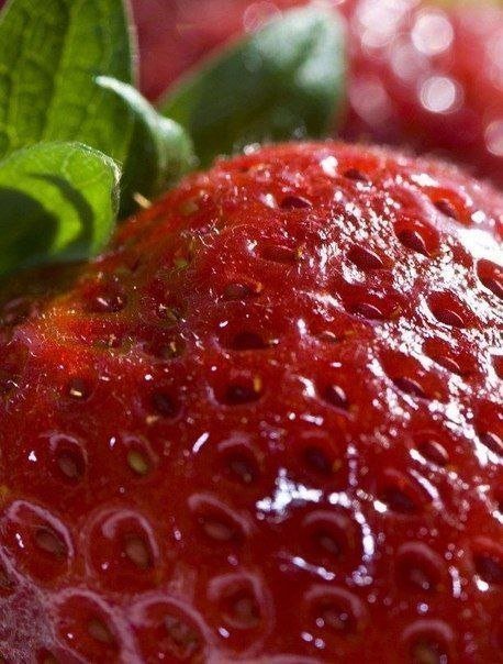 054 - фрукты, ягоды - оригинал