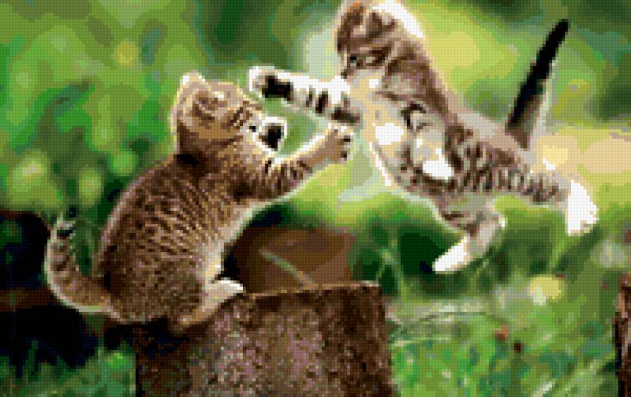 лечу - кошки, природа, котята - предпросмотр