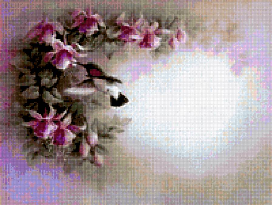 Калибри 1 - пернатые, цветы, калибри - предпросмотр